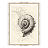 Echi di Fibonacci